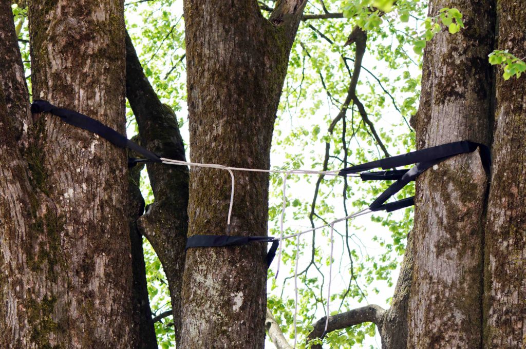 tree bracing, tree bracing and cabling differences