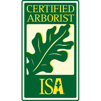 isa certified arborist, spring tree care